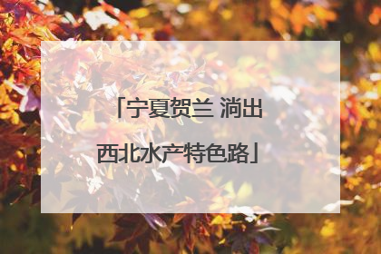 宁夏贺兰 淌出西北水产特色路