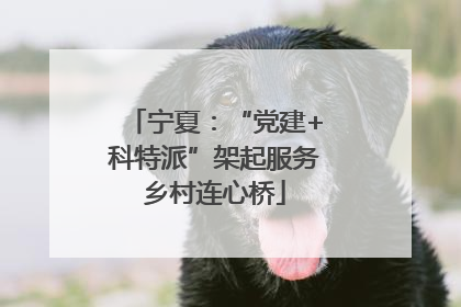 宁夏：“党建+科特派”架起服务乡村连心桥