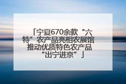 宁夏670余款“六特”农产品亮相农展馆 推动优质特色农产品“出宁进京”