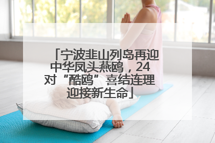 宁波韭山列岛再迎中华凤头燕鸥，24对“酷鸥”喜结连理迎接新生命