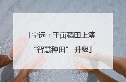 宁远：千亩稻田上演 “智慧种田” 升级