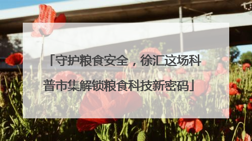 守护粮食安全，徐汇这场科普市集解锁粮食科技新密码