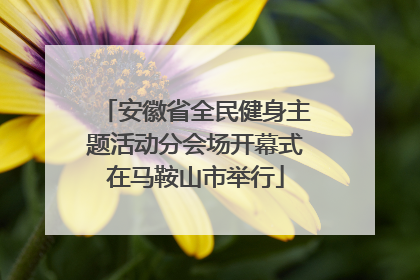 安徽省全民健身主题活动分会场开幕式在马鞍山市举行