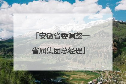 安徽省委调整一省属集团总经理