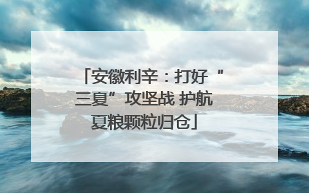 安徽利辛：打好“三夏”攻坚战 护航夏粮颗粒归仓