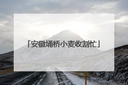 安徽埇桥小麦收割忙