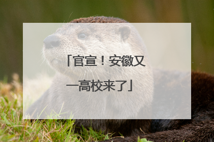官宣！安徽又一高校来了