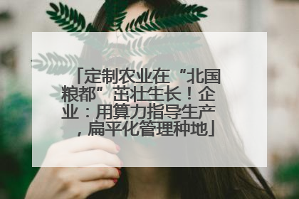 定制农业在“北国粮都”茁壮生长！企业：用算力指导生产，扁平化管理种地