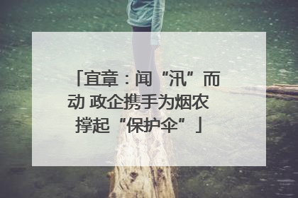 宜章：闻“汛”而动 政企携手为烟农撑起“保护伞”