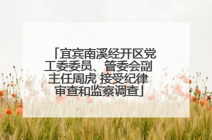 宜宾南溪经开区党工委委员、管委会副主任周虎 接受纪律审查和监察调查