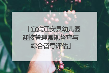 宜宾江安县幼儿园迎接管理常规督查与综合督导评估