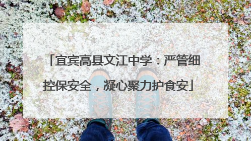 宜宾高县文江中学：严管细控保安全，凝心聚力护食安