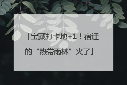 宝藏打卡地+1！宿迁的“热带雨林”火了