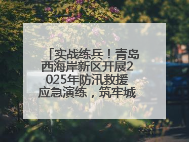 实战练兵！青岛西海岸新区开展2025年防汛救援应急演练，筑牢城市安全防线