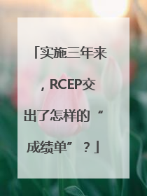 实施三年来，RCEP交出了怎样的“成绩单”？