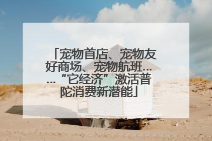 宠物首店、宠物友好商场、宠物航班……“它经济”激活普陀消费新潜能