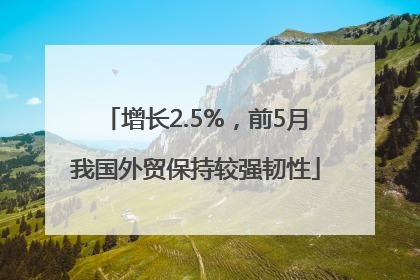 增长2.5%，前5月我国外贸保持较强韧性
