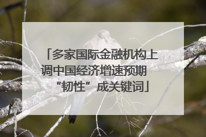 多家国际金融机构上调中国经济增速预期 “韧性”成关键词