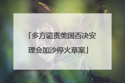 多方谴责美国否决安理会加沙停火草案