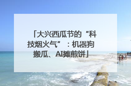 大兴西瓜节的“科技烟火气”：机器狗搬瓜、AI摊煎饼