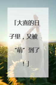 大喜的日子里，又被“萌”到了！