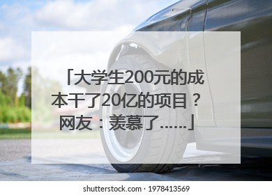 大学生200元的成本干了20亿的项目？网友：羡慕了……