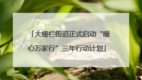 大栅栏街道正式启动“暖心万家行”三年行动计划