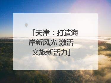 天津：打造海岸新风光 激活文旅新活力