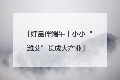 好品伴端午丨小小“潍艾”长成大产业