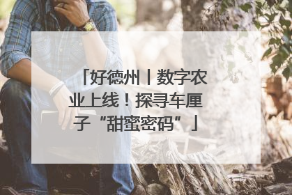 好德州丨数字农业上线！探寻车厘子“甜蜜密码”