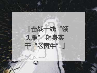 奋战一线“领头雁” 躬身实干“老黄牛”