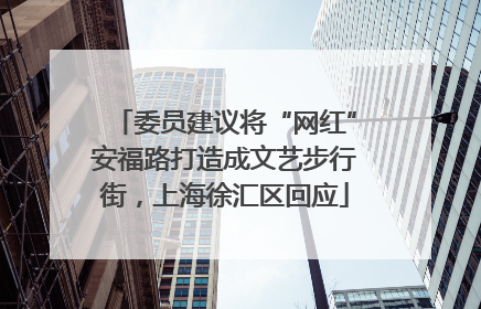 委员建议将“网红”安福路打造成文艺步行街，上海徐汇区回应