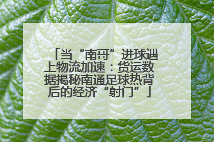 当“南哥”进球遇上物流加速：货运数据揭秘南通足球热背后的经济“射门”