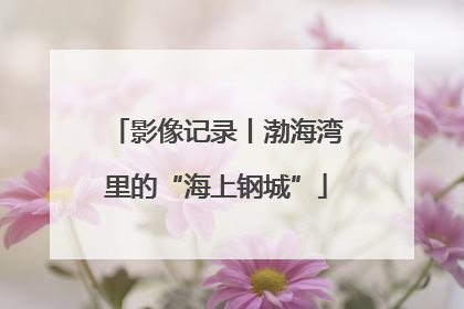 影像记录丨渤海湾里的“海上钢城”
