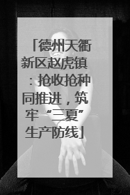 德州天衢新区赵虎镇：抢收抢种同推进，筑牢“三夏”生产防线