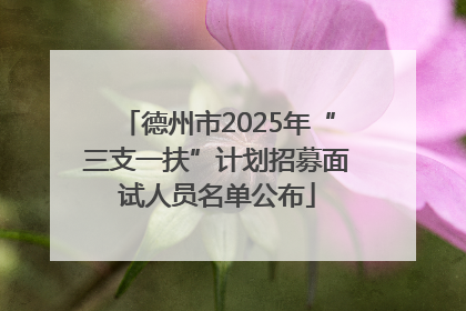德州市2025年“三支一扶”计划招募面试人员名单公布