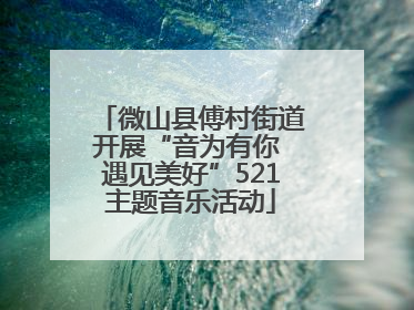 微山县傅村街道开展“音为有你 遇见美好”521主题音乐活动
