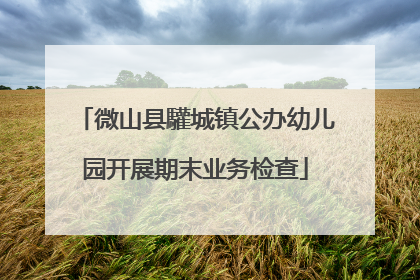 微山县驩城镇公办幼儿园开展期末业务检查
