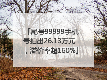 尾号99999手机号拍出26.13万元，溢价率超160%