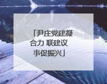 尹庄党建凝合力 联建议事促振兴