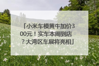 小米车模黄牛加价300元！实车本周到店？大湾区车展将亮相