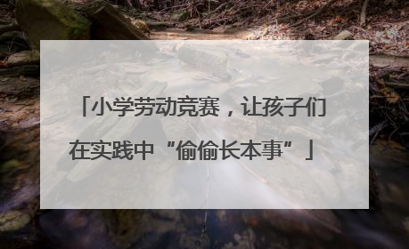 小学劳动竞赛，让孩子们在实践中“偷偷长本事”