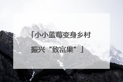 小小蓝莓变身乡村振兴“致富果”