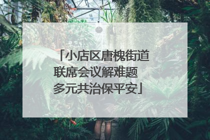 小店区唐槐街道联席会议解难题 多元共治保平安