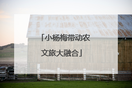 小杨梅带动农文旅大融合