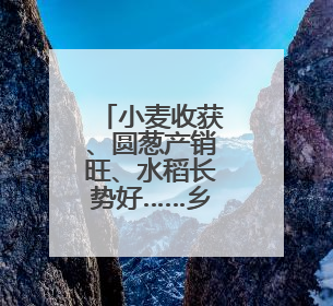 小麦收获、圆葱产销旺、水稻长势好……乡村处处是“丰”景