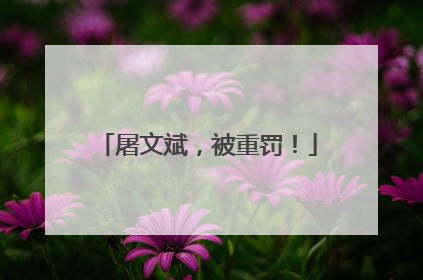 屠文斌，被重罚！