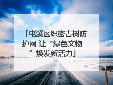 屯溪区织密古树防护网 让“绿色文物”焕发新活力