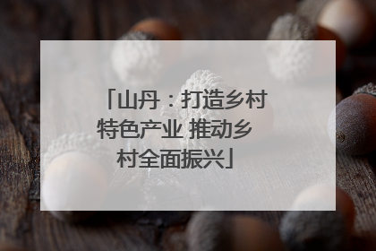 山丹：打造乡村特色产业 推动乡村全面振兴