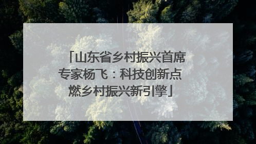 山东省乡村振兴首席专家杨飞：科技创新点燃乡村振兴新引擎